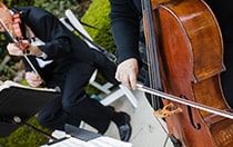 Orchestras & Bands