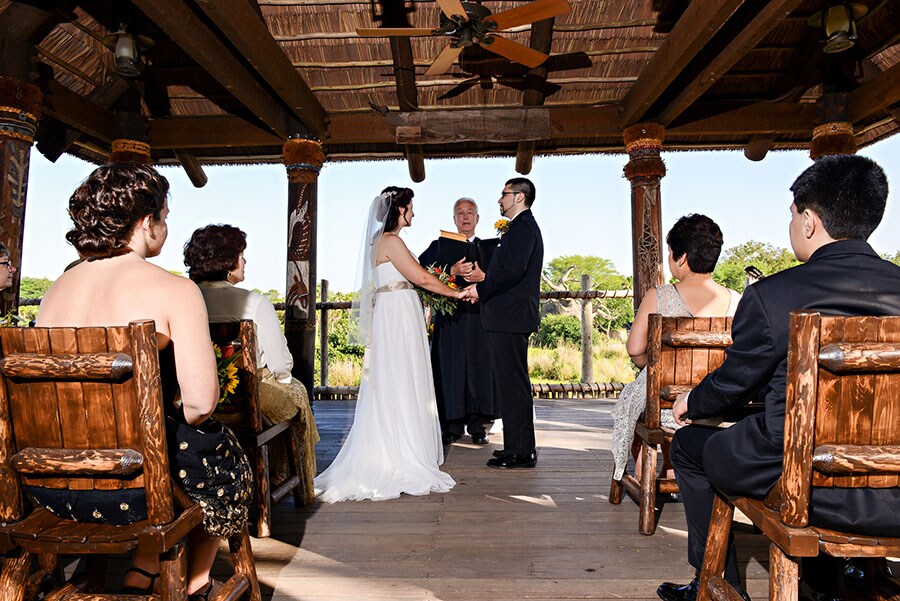 Adventurous Venue Options at Disney�s Animal Kingdom