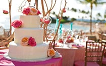 Cakes